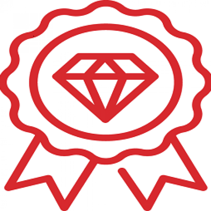 BrandImage_icon-1.png